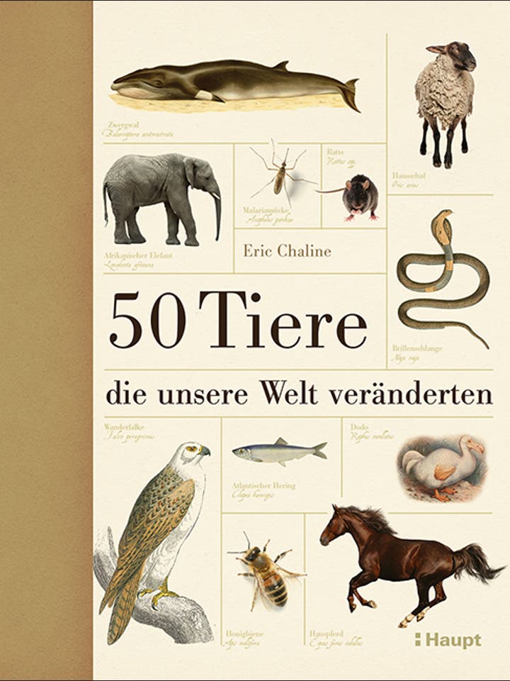 Eric Chaline: 50 Tiere, die unsere Welt veränderten