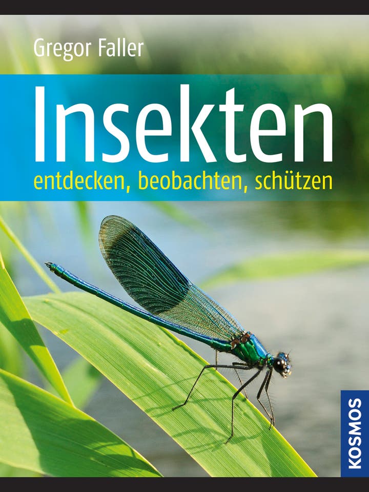 Gregor Faller: Insekten
