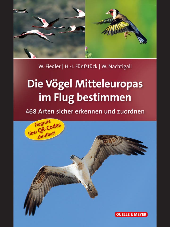 Wolfgang Fiedler, Hans-Joachim Fünfstück, Werner Nachtigall: Die Vögel Mitteleuropas im Flug bestimmen