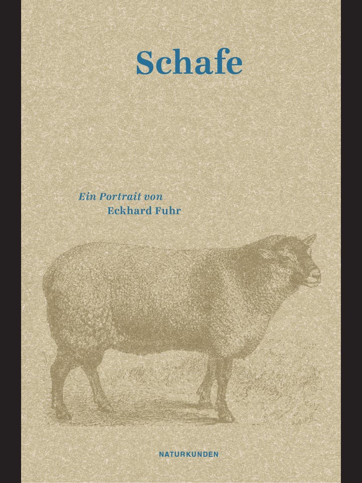 Eckhard Fuhr: Schafe