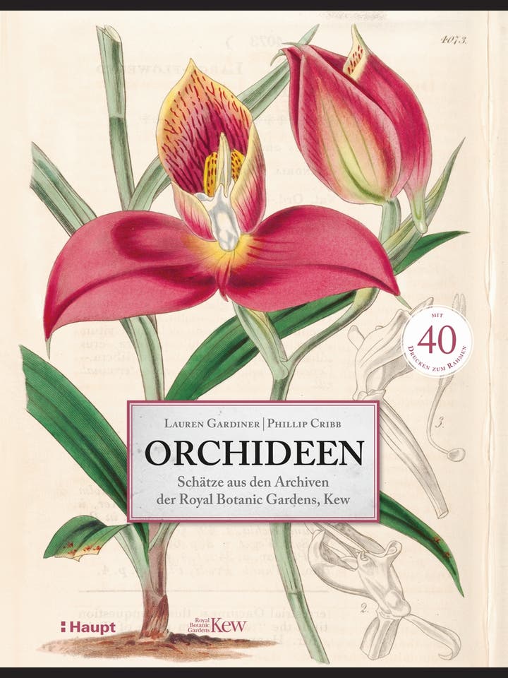 Lauren Gardiner, Philip Cribb: Orchideen