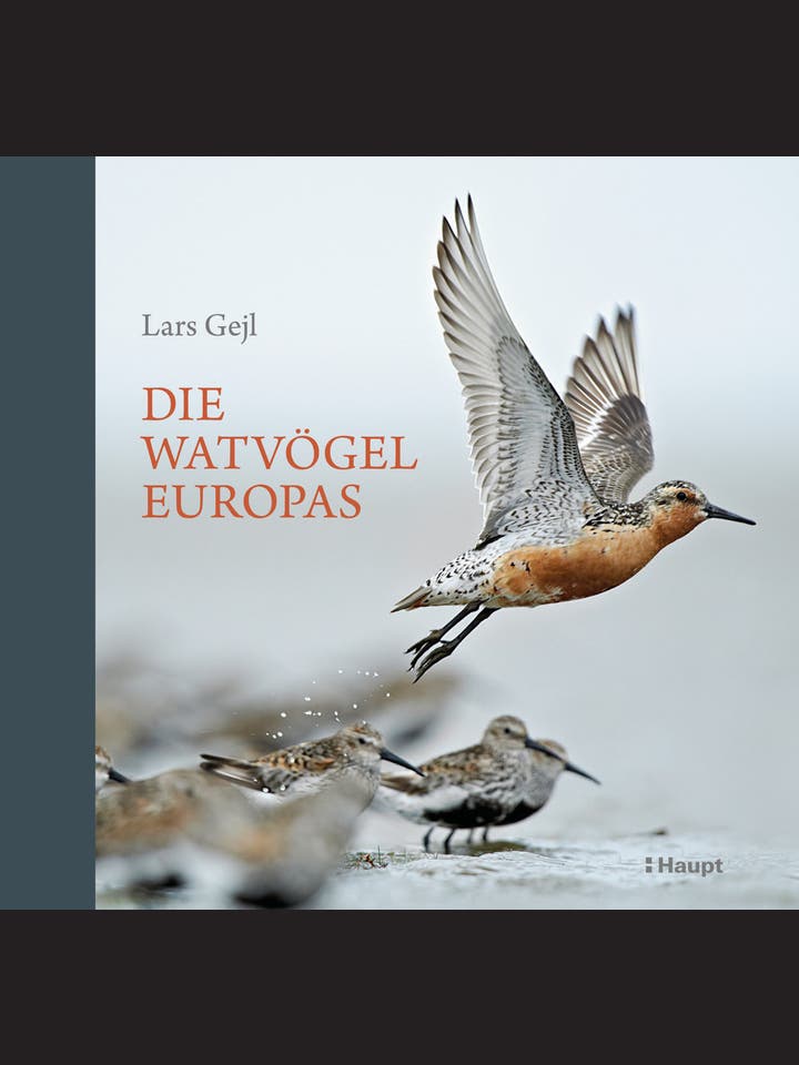 Lars Gejl: Die Watvögel Europas