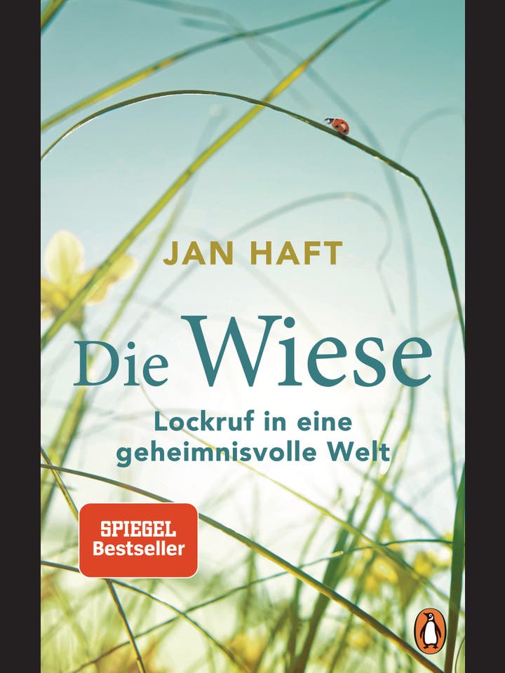 Jan Haft  : Die Wiese