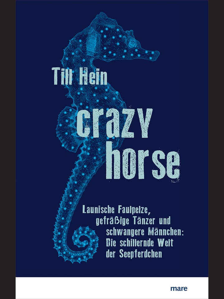 Till Hein: Crazy Horse