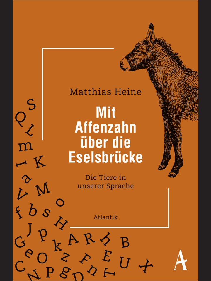 Matthias Heine: Mit Affenzahn über die Eselsbrücke
