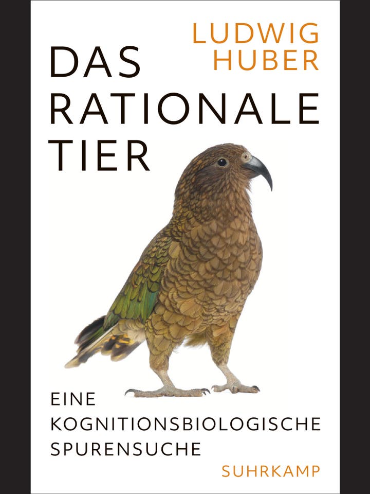 Ludwig Huber: Das rationale Tier