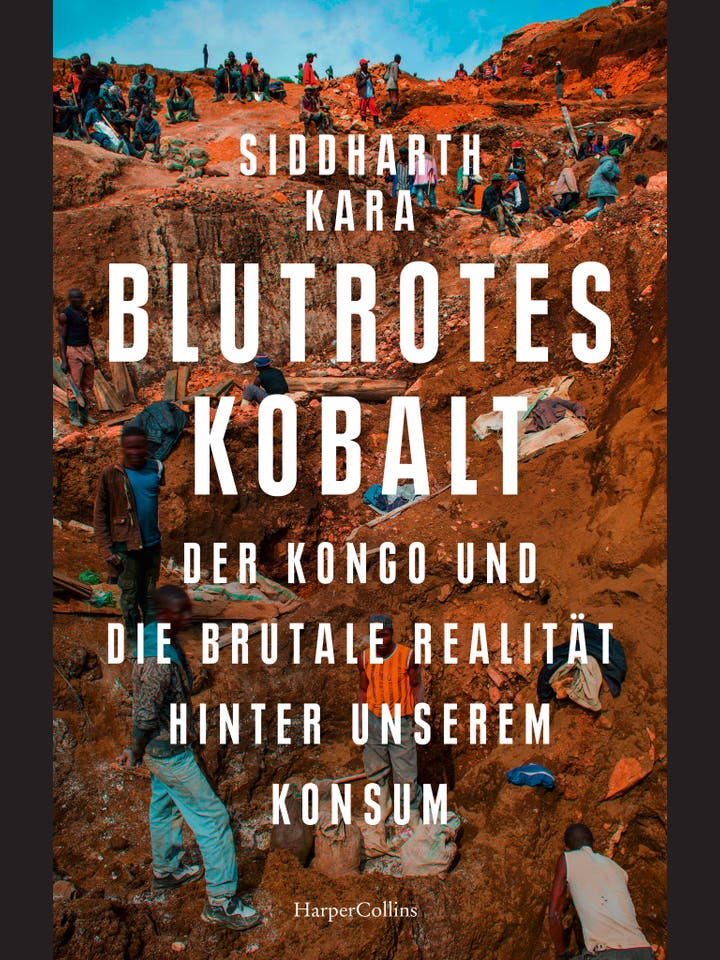 Siddharth Kara: Blutrotes Kobalt