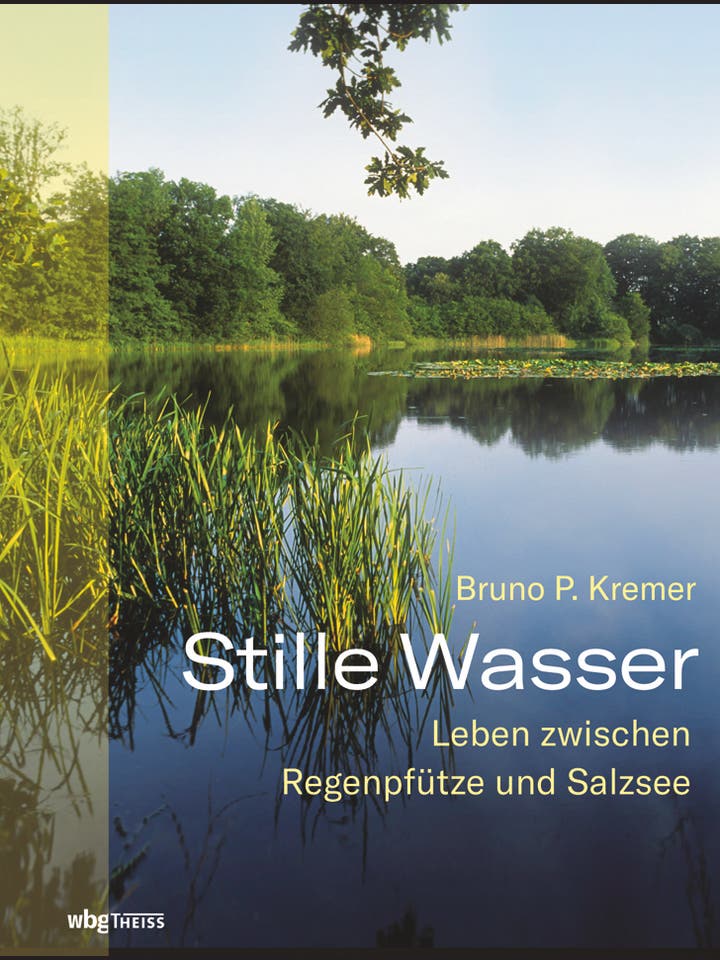 Bruno P. Kremer: Stille Wasser