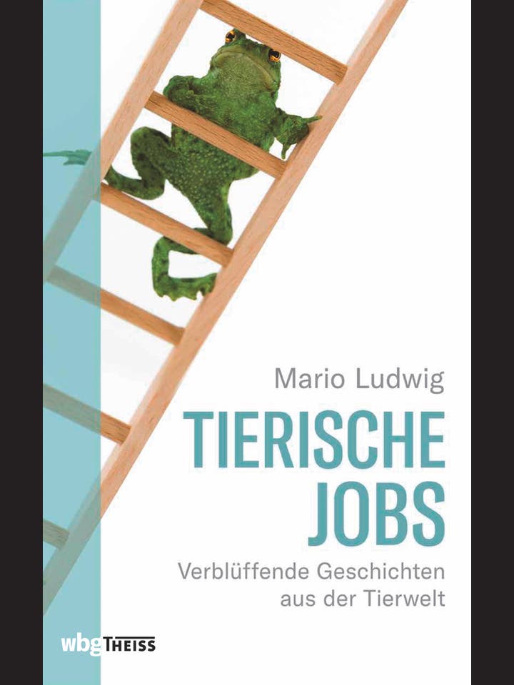 Mario Ludwig: Tierische Jobs