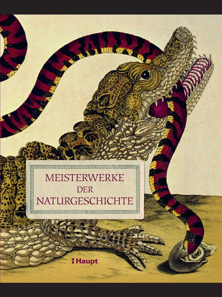 Judith Magee: Meisterwerke der Naturgeschichte
