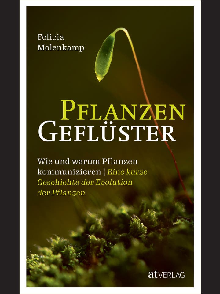 Felicia Molenkamp: Pflanzengeflüster