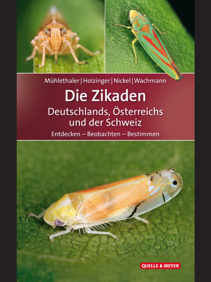 Roland Mühlethaler, Werner E. Holzinger, Herbert Nickel, Ekkehard Wachmann: Die Zikaden Deutschlands, Österreichs und der Schweiz
