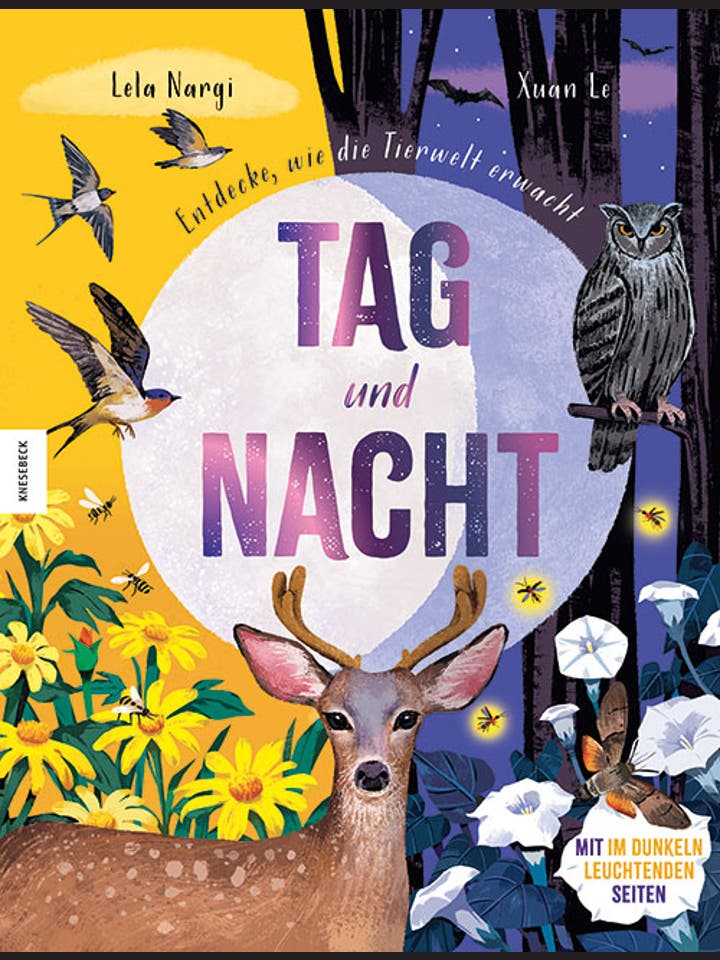 Lela Nargi: Tag und Nacht