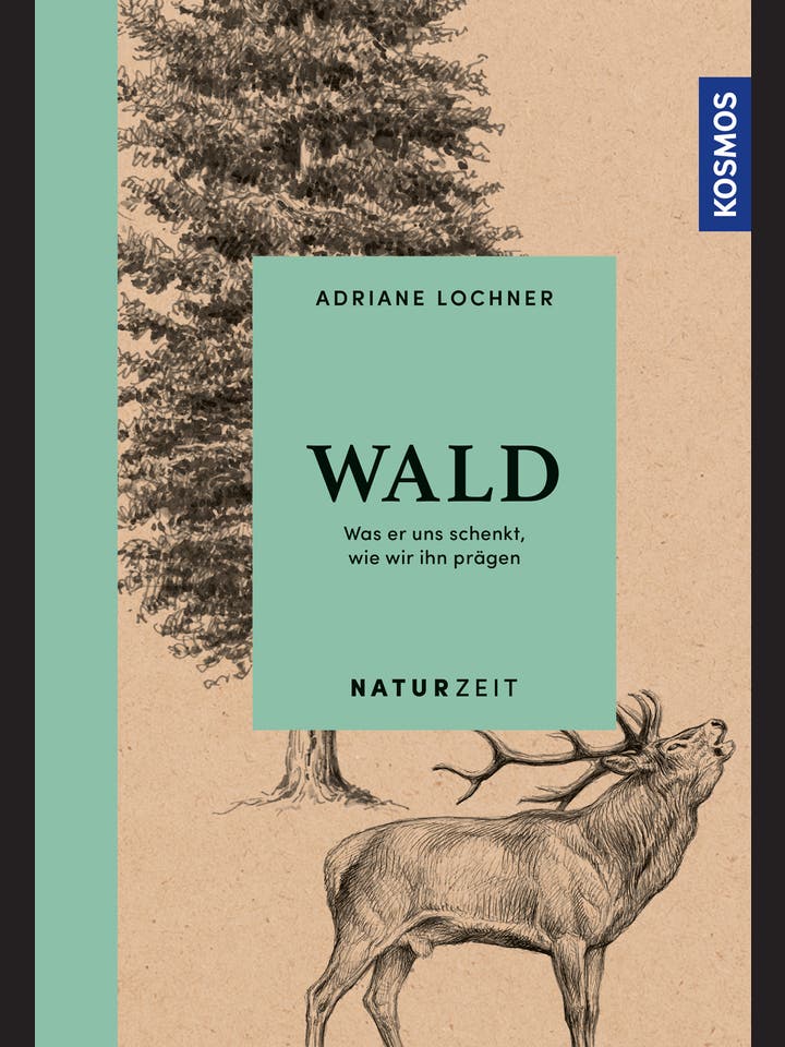 Adriane Lochner: Wald