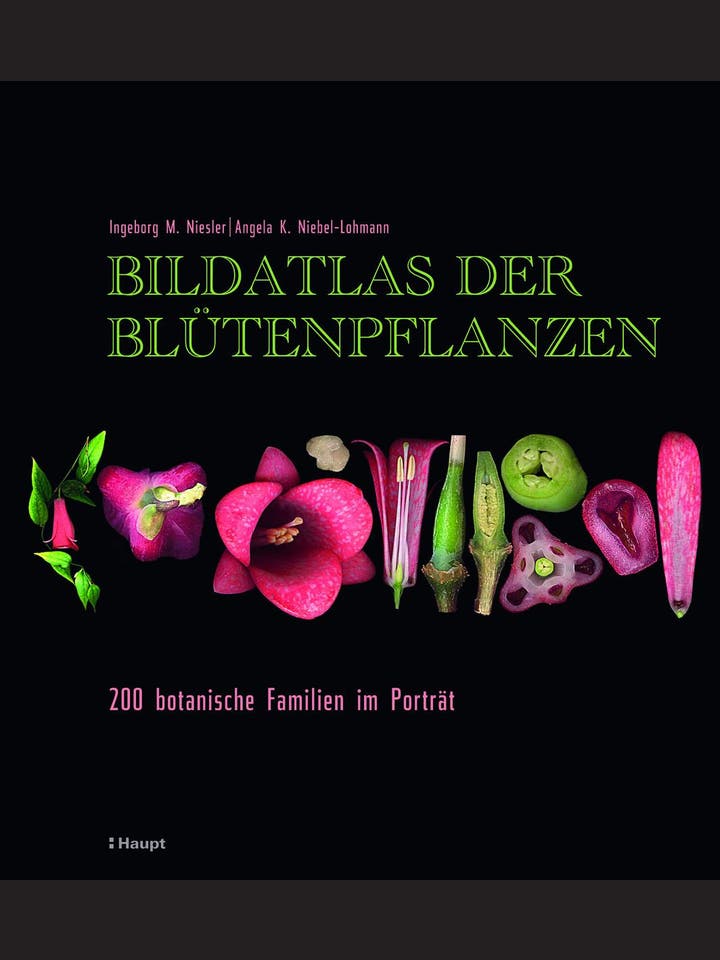 Ingeborg M. Niesler, Angela K. Niebel-Lohmann: Bildatlas der Blütenpflanzen