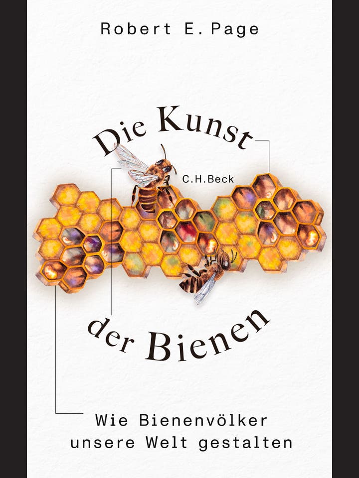 Robert E. Page: Die Kunst der Bienen