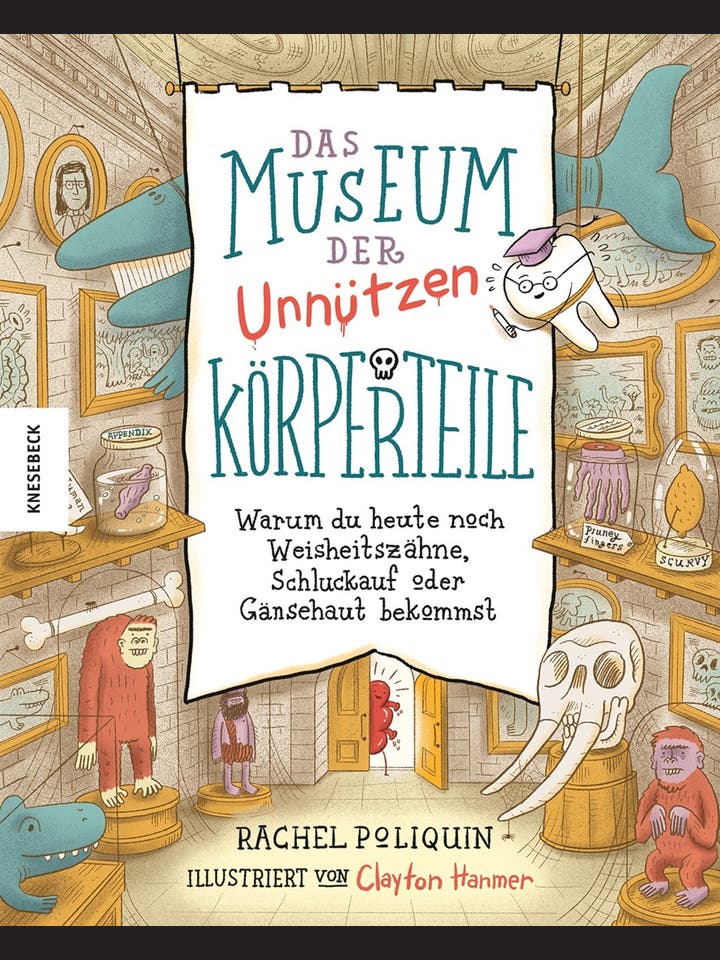 Rachel Poliquin: Das Museum der unnützen Körperteile