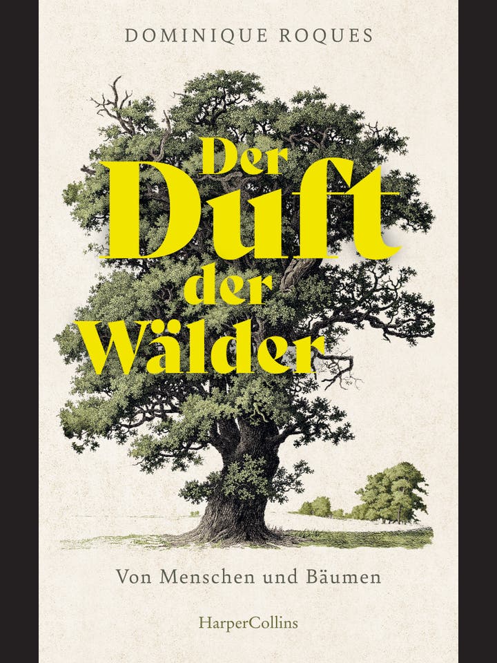 Dominique Roques: Der Duft der Wälder