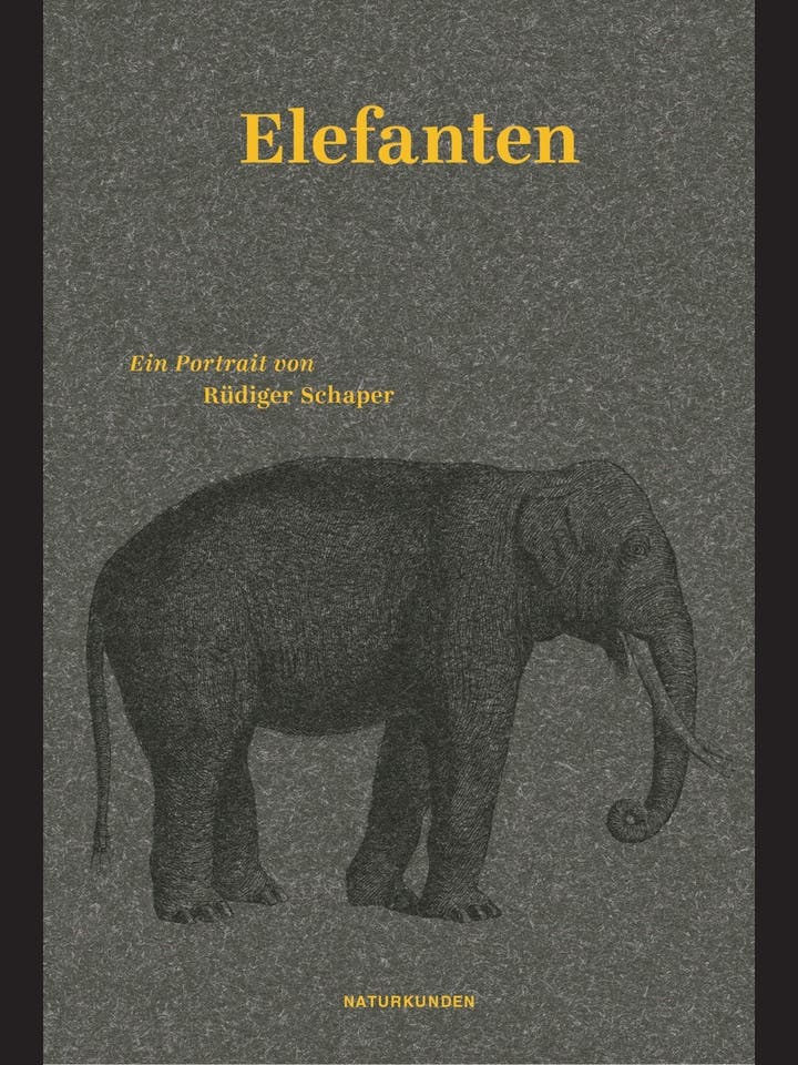 Rüdiger Schaper: Elefanten