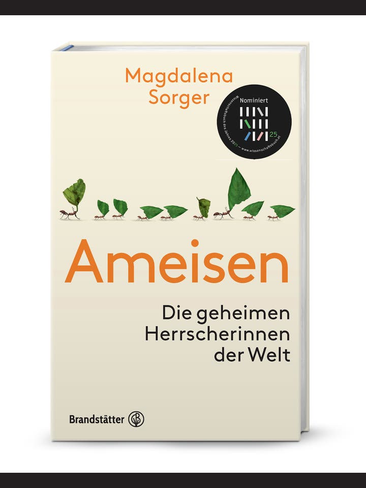 Magdalena Sorger: Ameisen