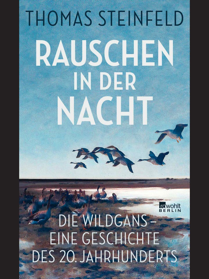 Thomas Steinfeld: Rauschen in der Nacht