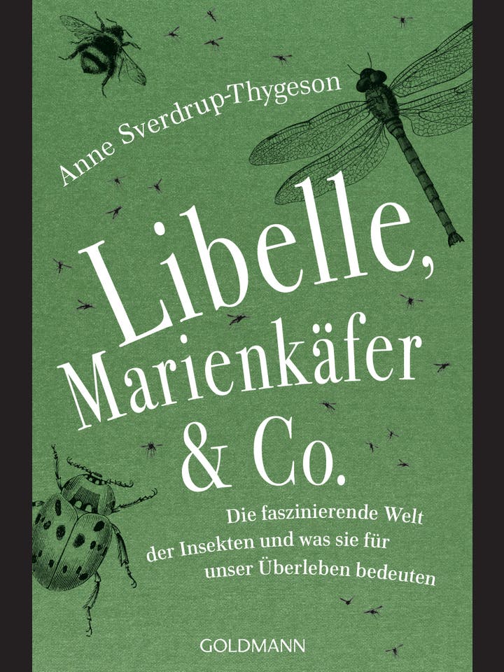Anne Sverdrup-Thygeson: Libelle, Marienkäfer & Co.