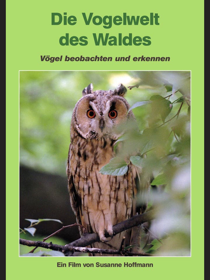 Susanne Hoffmann: Die Vogelwelt des Waldes