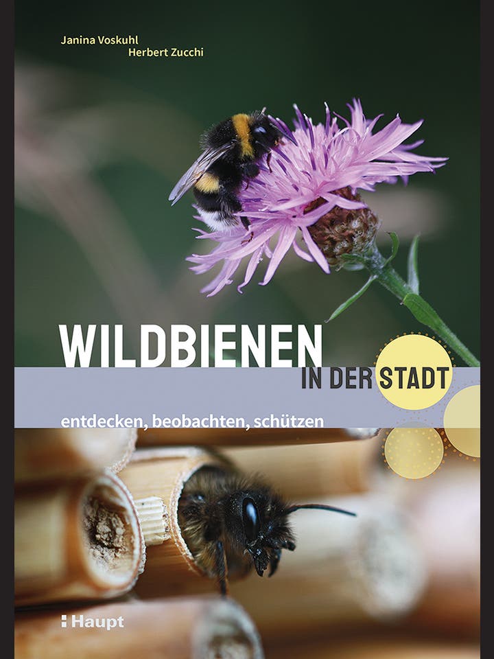 Janina Voskuhl, Herbert Zucchi: Wildbienen in der Stadt