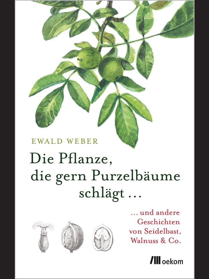 Ewald Weber: Die Pflanze, die gern Purzelbäume schlägt ...