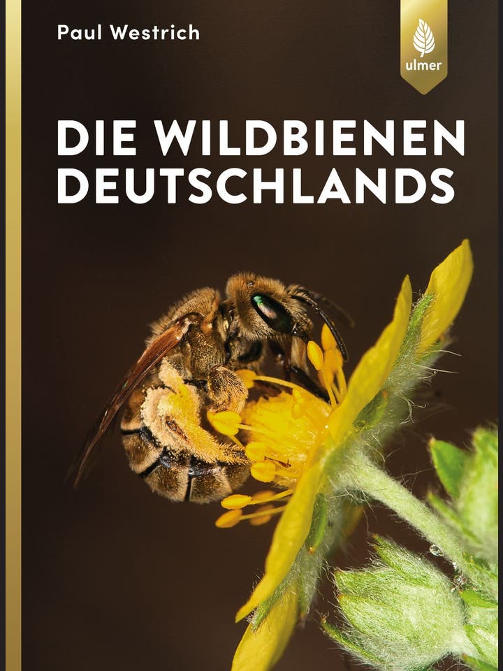 Paul Westrich: Die Wildbienen Deutschlands