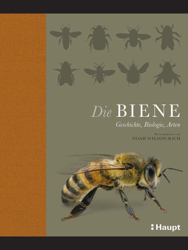 Noah Wilson-Rich (Hg.), Kelly Allin, Norman Carreck, Andrea Quigley: Die Biene