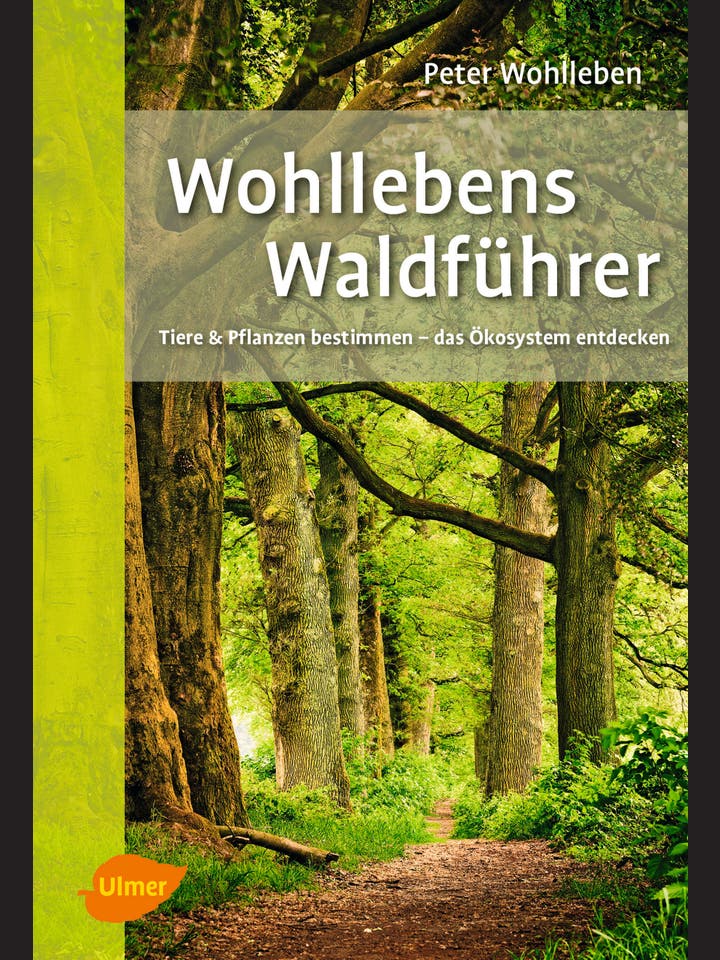 Peter Wohlleben: Wohllebens Waldführer
