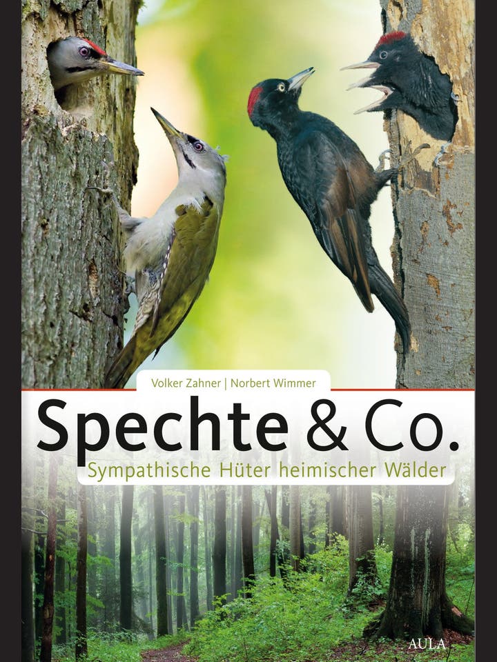 Volker Zahner, Norbert Wimmer: Spechte & Co.
