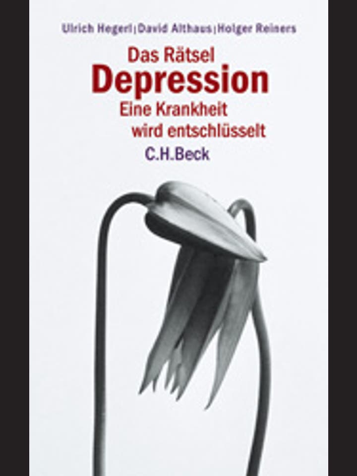Ulrich Hegerl, David Althaus, Holger Reiners: Das Rätsel Depression