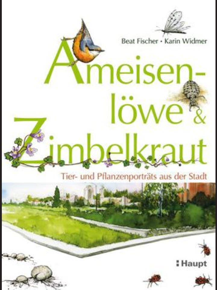Beat Fischer & Karin Widmer : Ameisenlöwe & Zimbelkraut