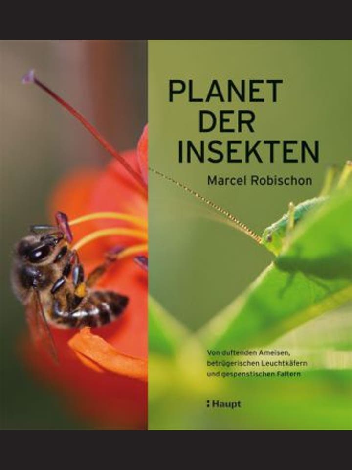 Marcel Robischon: Planet der Insekten