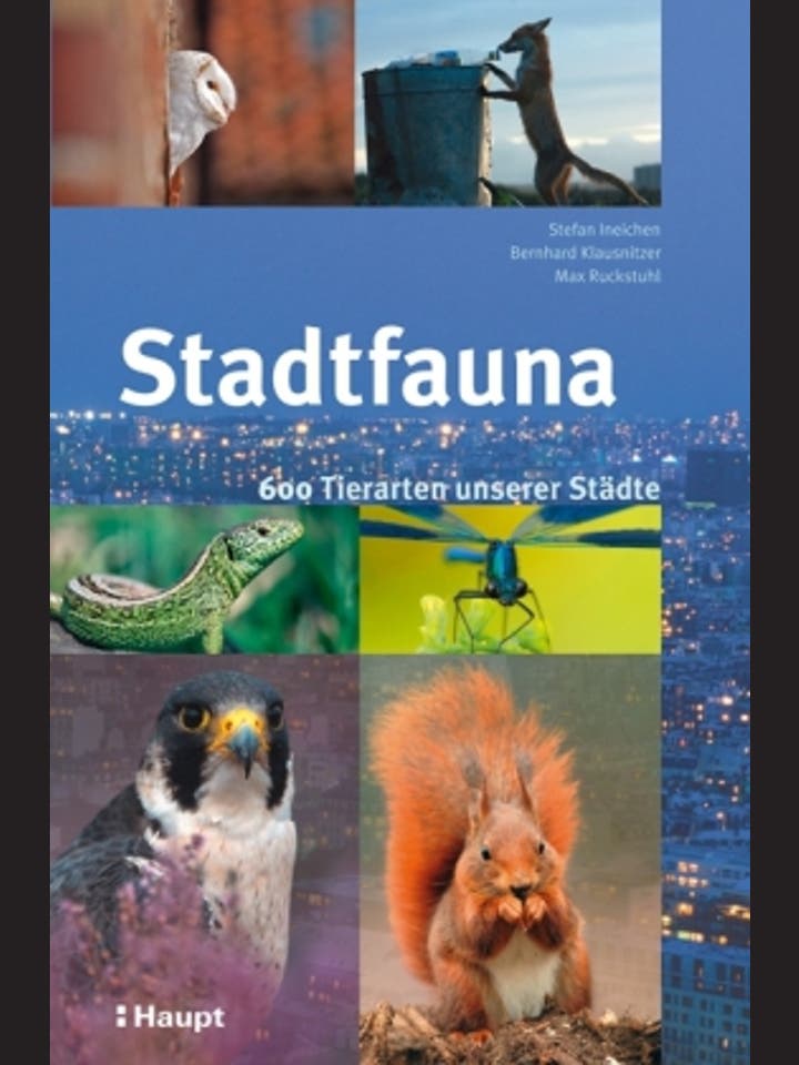 Ineichen, Stefan (Hrsg.) / Ruckstuhl, Max (Hrsg.) / Klausnitzer, Bernhard (Hrsg.): Stadtfauna