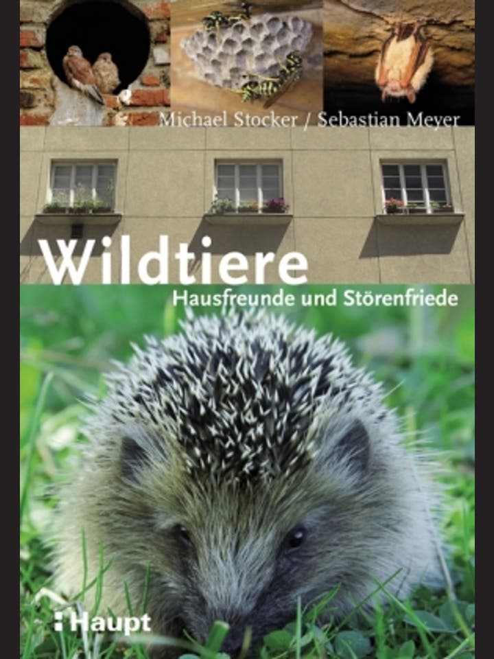 Michael Stocker, Sebastian Meyer: Wildtiere