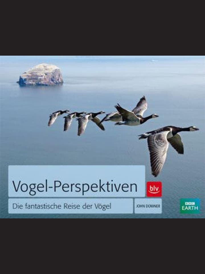 John Downer: Vogel-Perspektiven