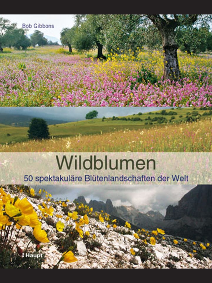 Bob Gibbons: Wildblumen