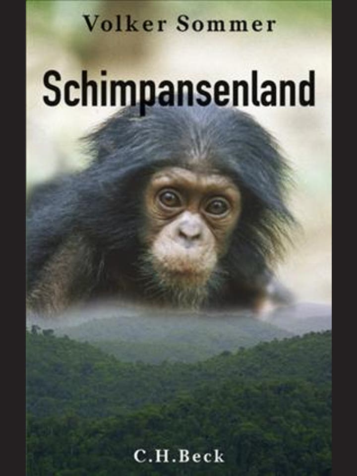 Volker Sommer: Schimpansenland
