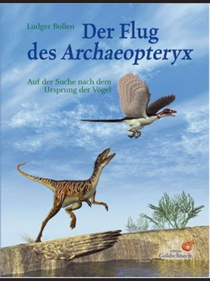 Ludger Bollen: Der Flug des Archaeopteryx
