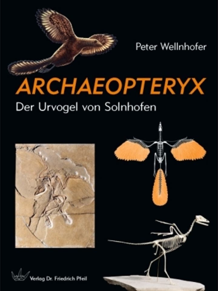 Peter Wellnhofer: Archaeopteryx