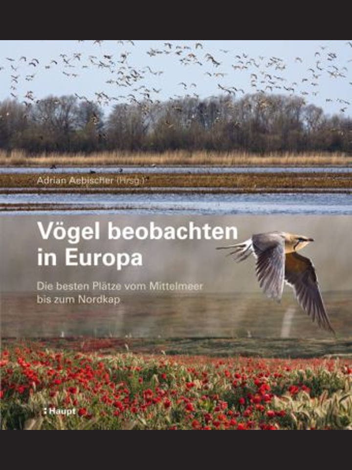 Adrian Aebischer: Vögel beobachten in Europa