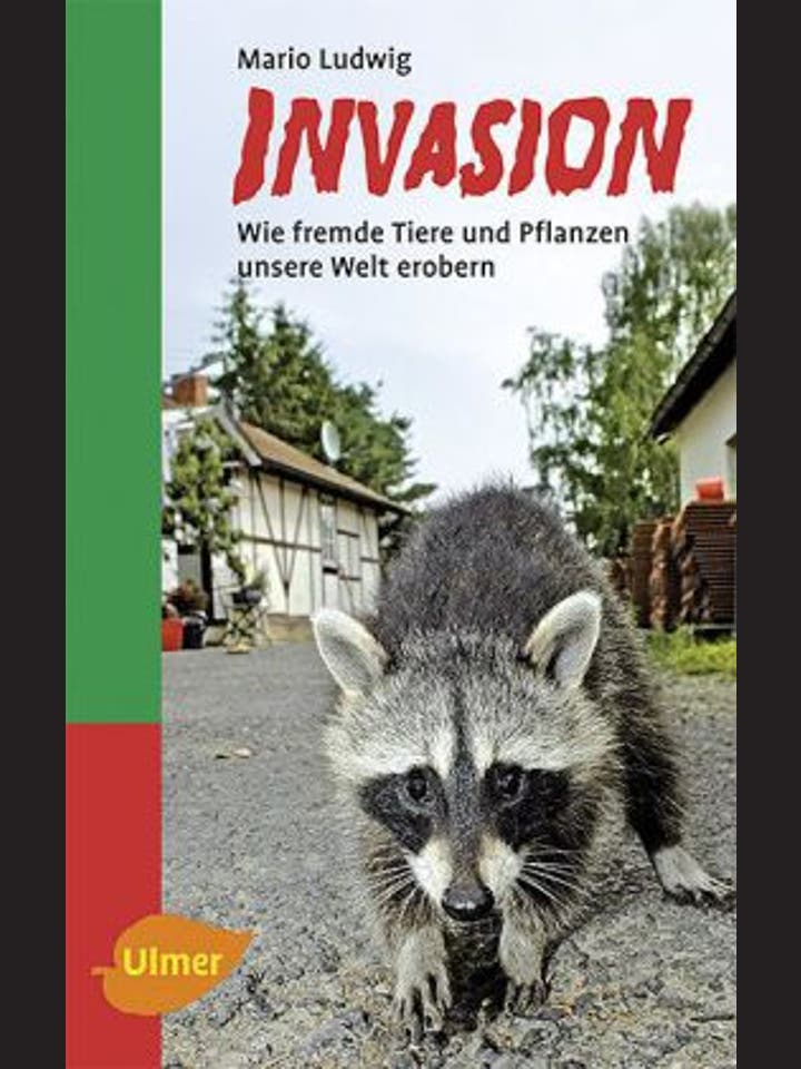 Mario Ludwig: Invasion