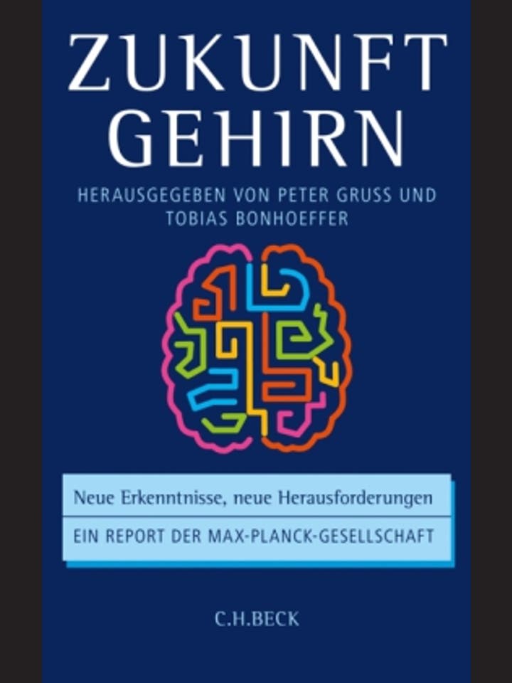 Tobias Bonhoeffer, Peter Gruss (Hg.)  : Zukunft Gehirn