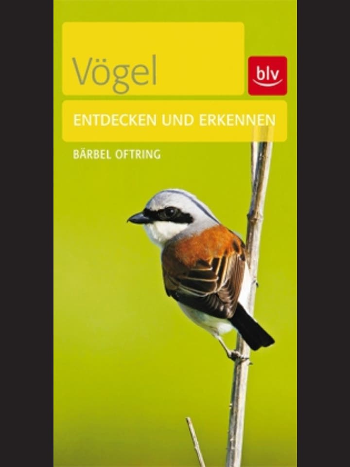 Bärbel Oftring et al.: BLV Naturführer. Entdecken und Erkennen  