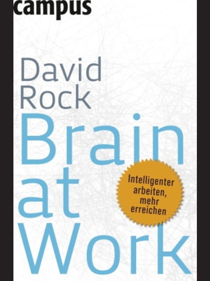 David Rock: Brain at work