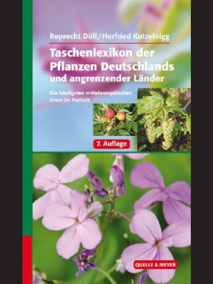 Ruprecht Düll und Herfried Kutzelnigg: Taschenlexikon der Pflanzen Deutschlands