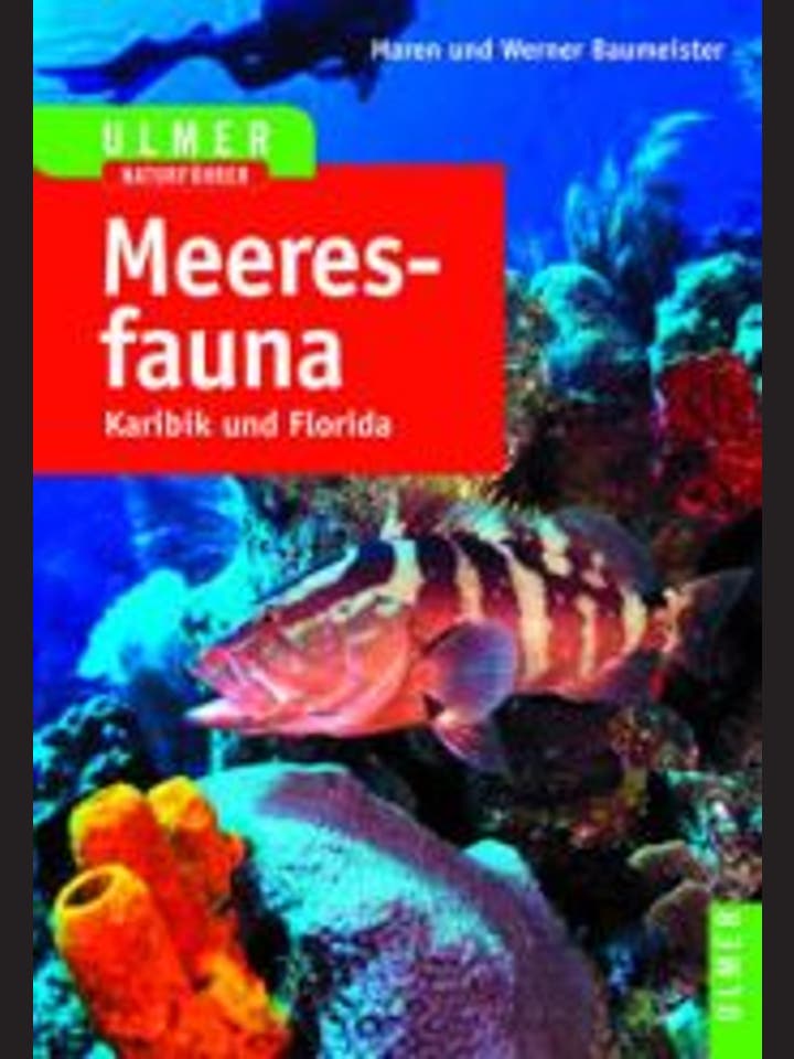 Maren und Werner Baumeister: Meeresfauna - Karibik und Florida